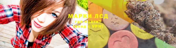 ПСИЛОЦИБИНОВЫЕ ГРИБЫ Зерноград