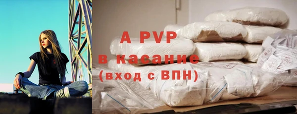 PSILOCYBIN Аркадак