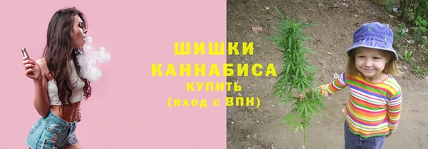 PSILOCYBIN Аркадак