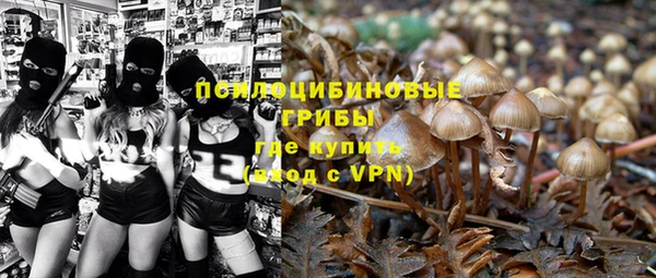 крисы Армянск