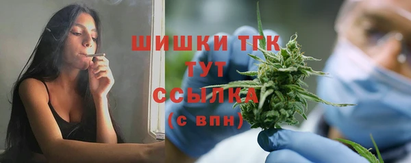 амф Зеленокумск