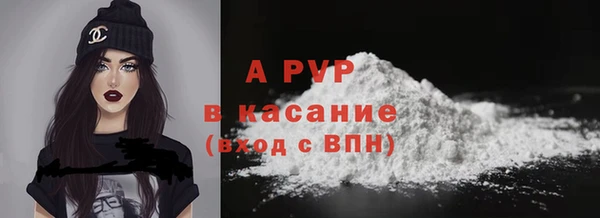 крисы Армянск