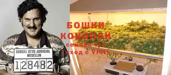 ПСИЛОЦИБИНОВЫЕ ГРИБЫ Арсеньев