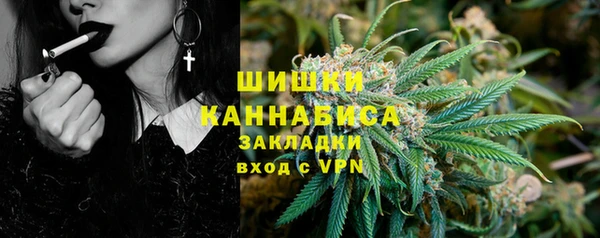 ПСИЛОЦИБИНОВЫЕ ГРИБЫ Арсеньев