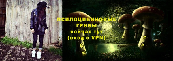 крисы Армянск