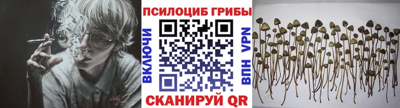 купить наркотики сайты  МЕГА вход  Галлюциногенные грибы GOLDEN TEACHER  Бирюч 